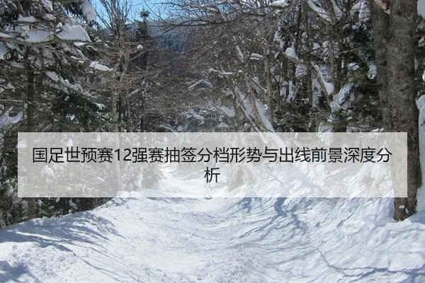 guo-zu-shi-yu-sai-qiang-sai-chou-qian-fen-dang-xing-shi-yu-chu-xian-qian-jing-shen-du-fen-xi-2-489.jpg